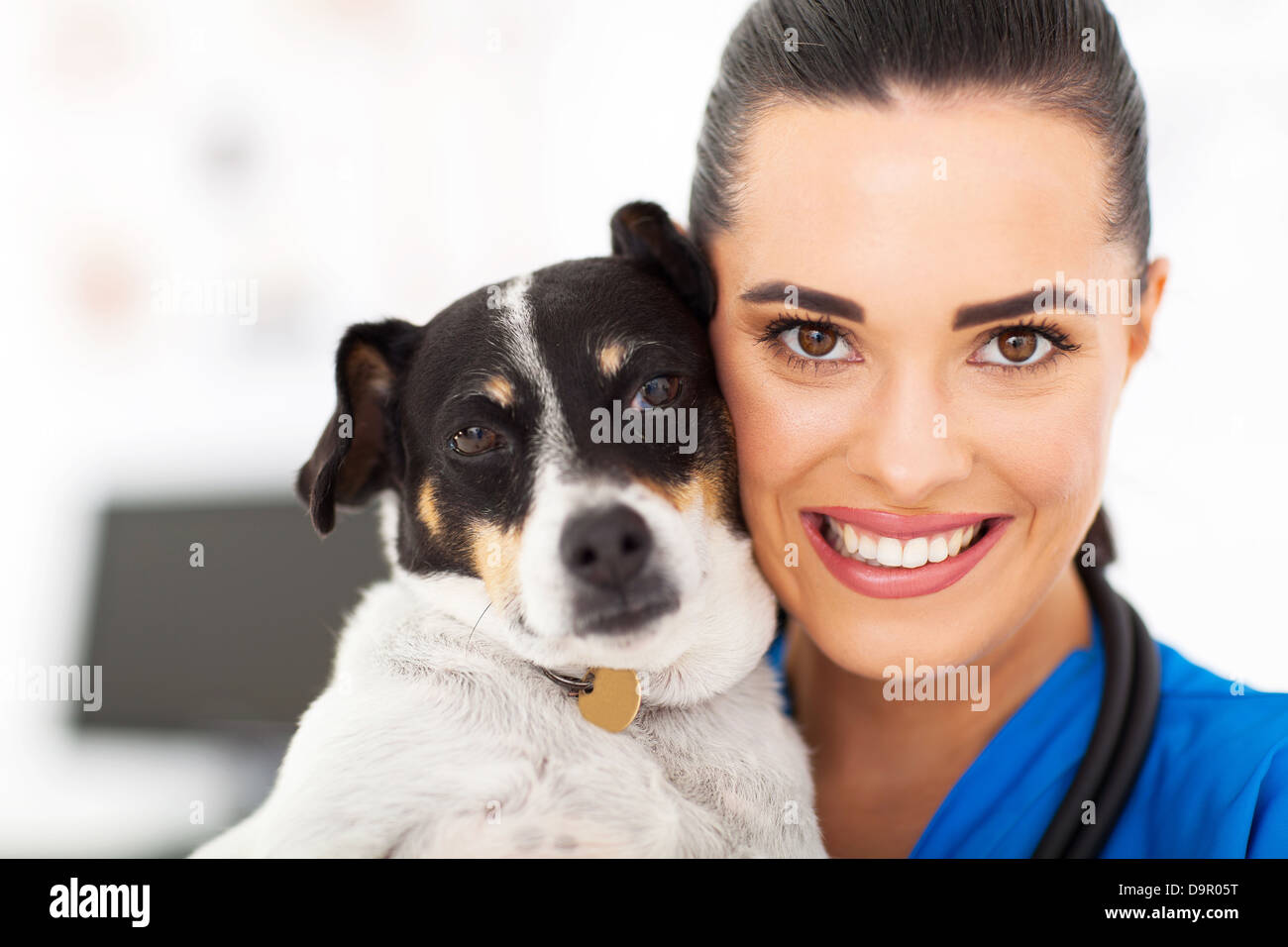 Pflege der weiblichen Tierarzt hält ein Hund Closeup portrait Stockfoto