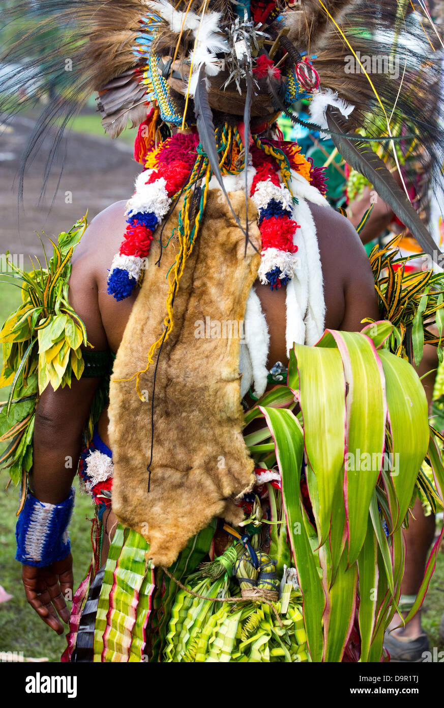 Stammesangehörige tragen Federn, Blätter und Tierfell, Goroka Show, Papua-Neu-Guinea Stockfoto