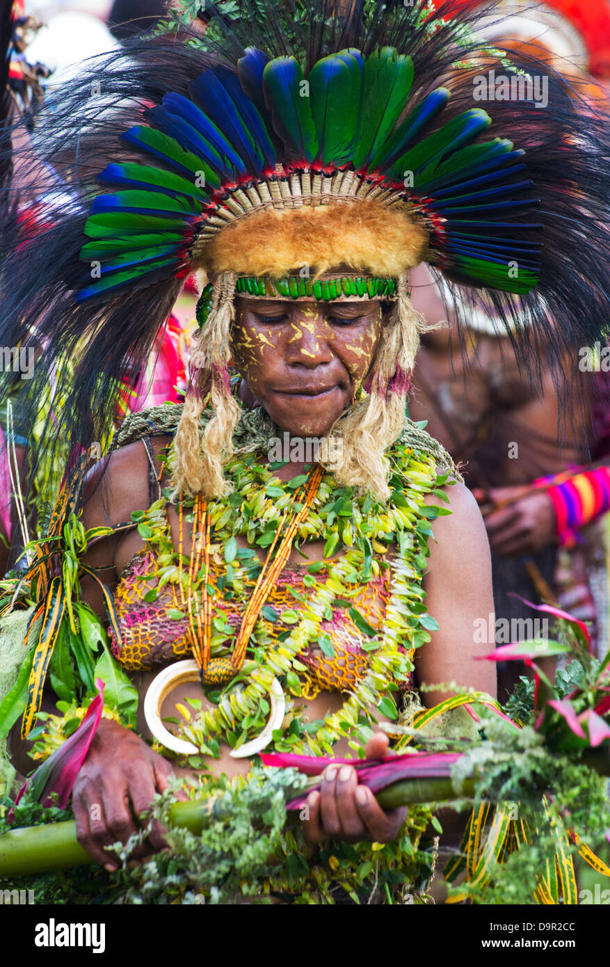 Frau mit ihrem Gesicht gemalt und tragen einen Kopfschmuck aus Federn und Tierfell, Goroka Festival, Papua-Neu-Guinea Stockfoto