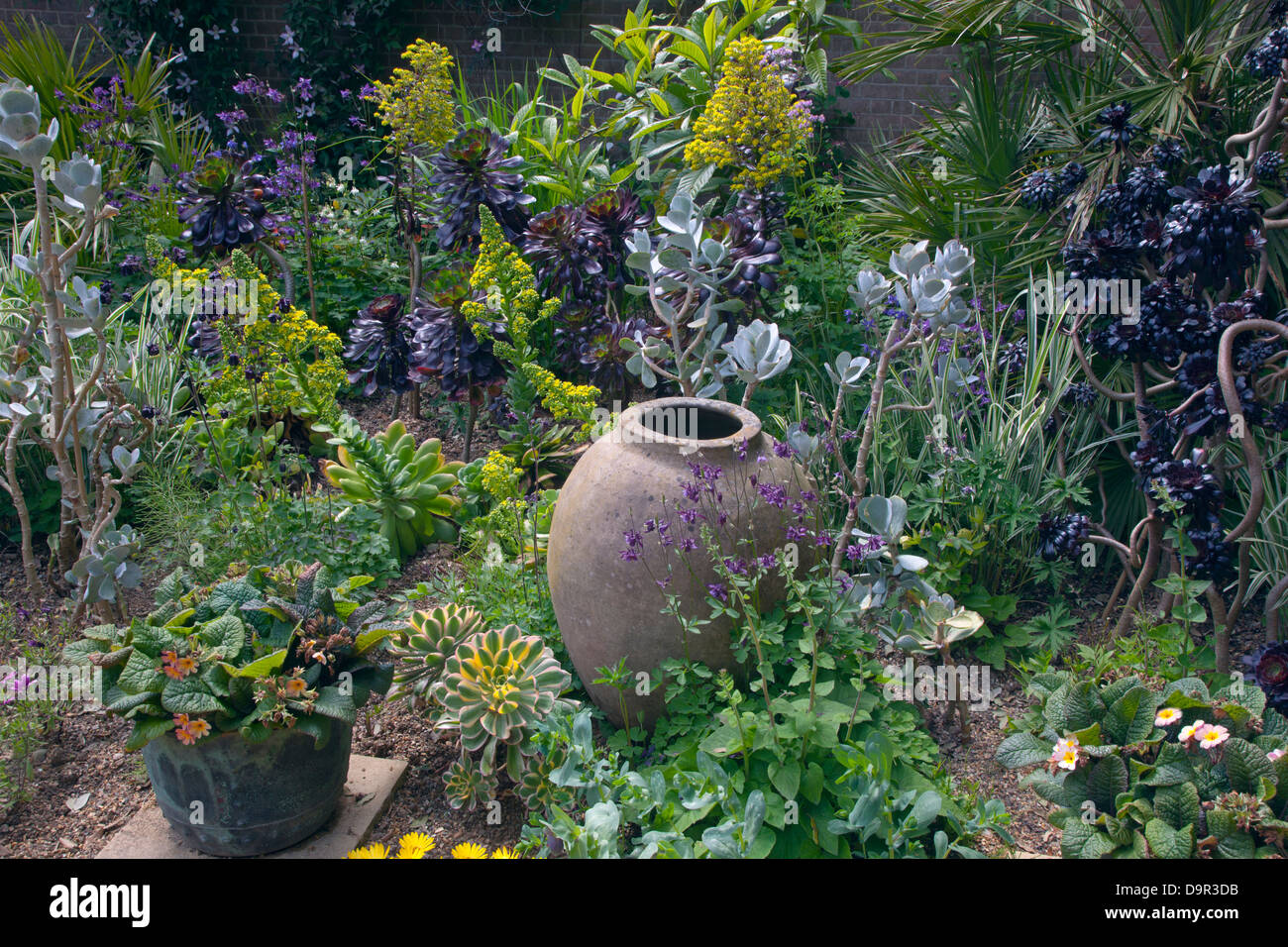 Haus Lauch in Blumen- und alten Ton Topf Old Vicarage Garden Osten Ruston Norfolk Stockfoto