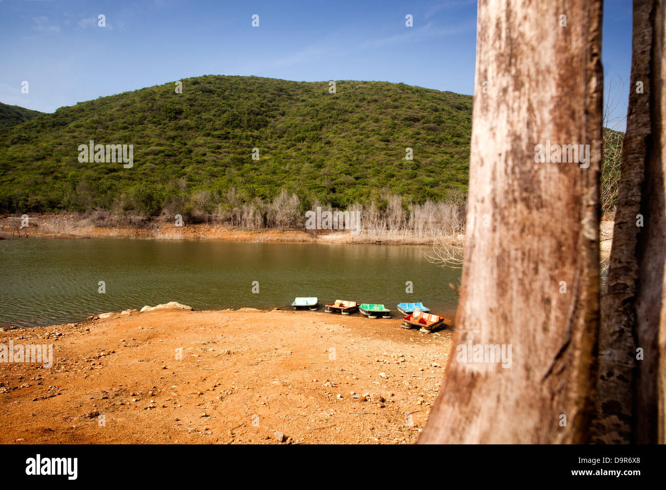 Boote am See, Kambala Konda Eco Tourismus Park (Majjisrinath), Visakhapatnam, Andhra Pradesh, Indien Stockfoto