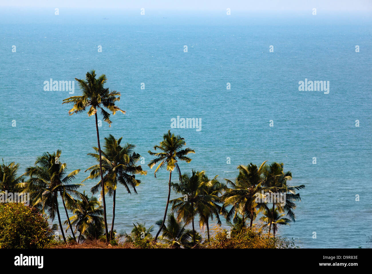 Palmen am Strand, Vagator, Bardez Taluka, Goa, Indien Stockfoto