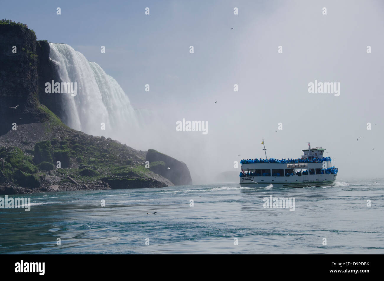 USA / Kanada, New York, Niagara Falls. USA Seite, Aussicht auf amerikanischen Wasserfälle mit Magd das Touristenboot Nebel. Stockfoto