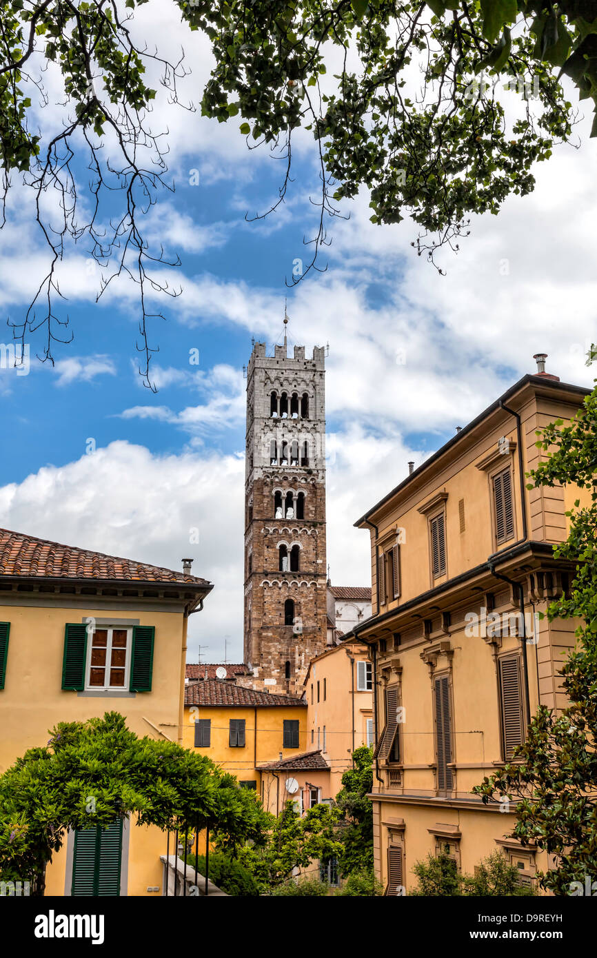 Kuppel von Lucca, Duomo di Lucca in der Toskana, Italien Stockfoto