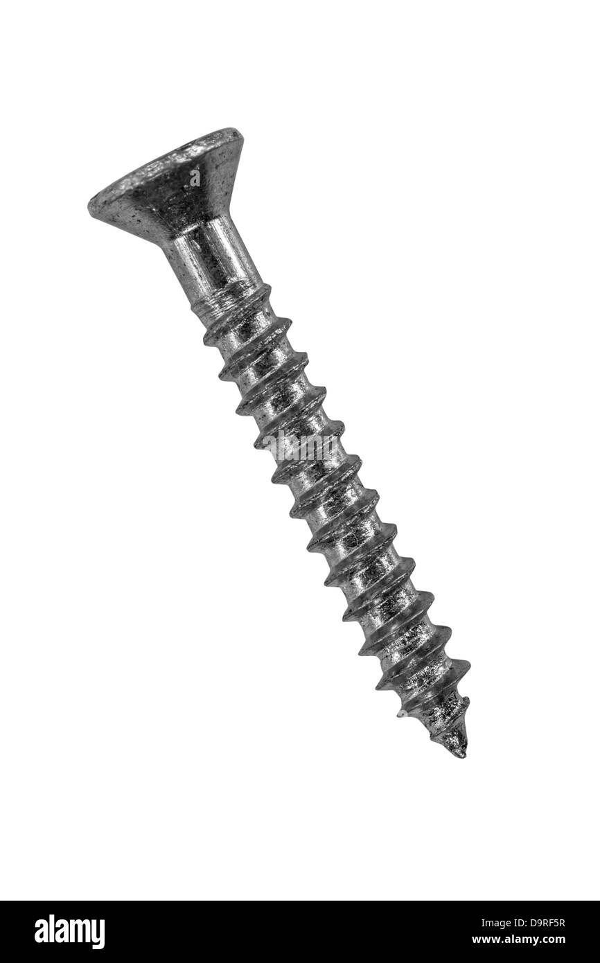 Glänzende wenig Zink Schrauben isoliert extreme Makro mit Beschneidungspfad. Stockfoto