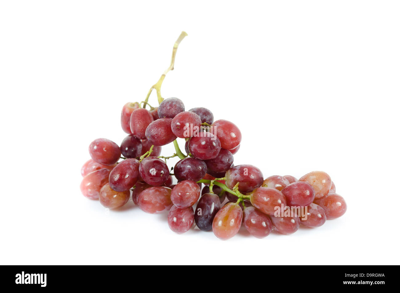 frischen Weintrauben Obst auf weißem Hintergrund Stockfoto