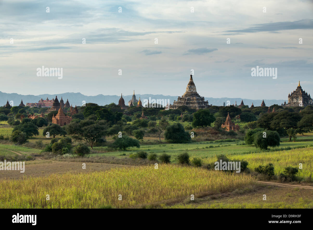 Ananda Tempel (Mitte), Thatbyinyu (ganz rechts), Bagan, Myanmar (Burma) Stockfoto