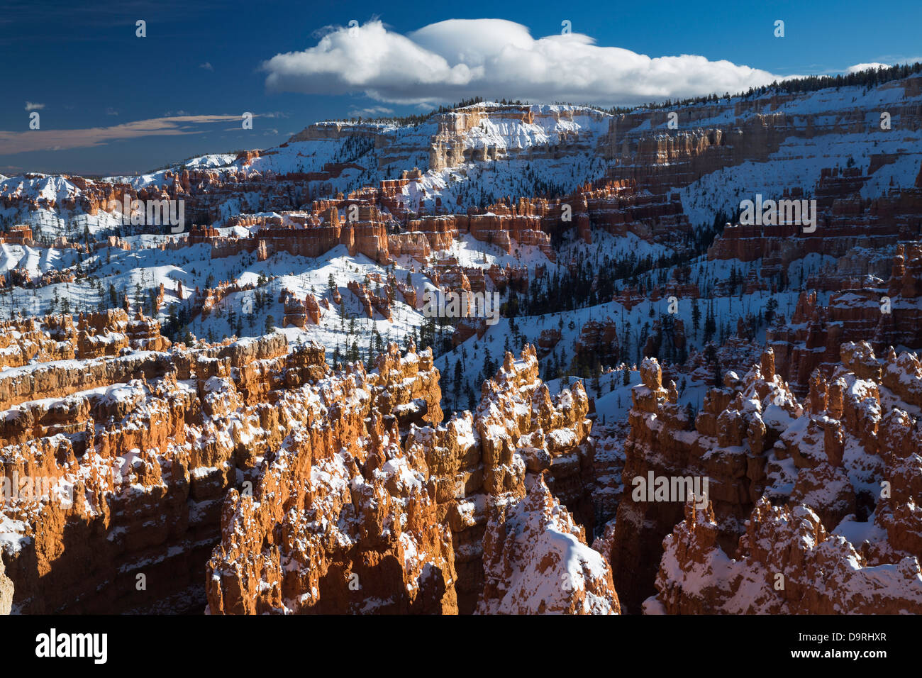 Das Amphitheater im Winter, Bryce Canyon, Utah, USA Stockfoto