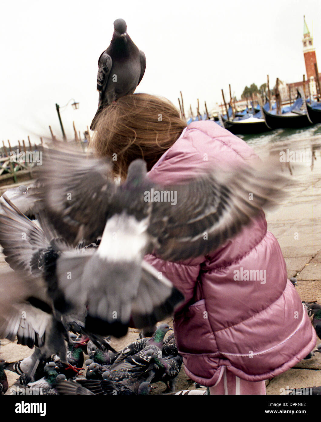 Mädchen mit Tauben in Venedig Stockfoto