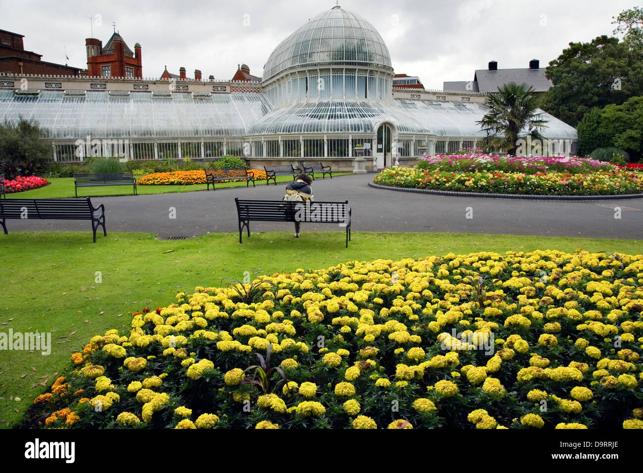 Palmenhaus im Botanischen Garten. Belfast. Nordirland, Vereinigtes Königreich, Europa. Stockfoto