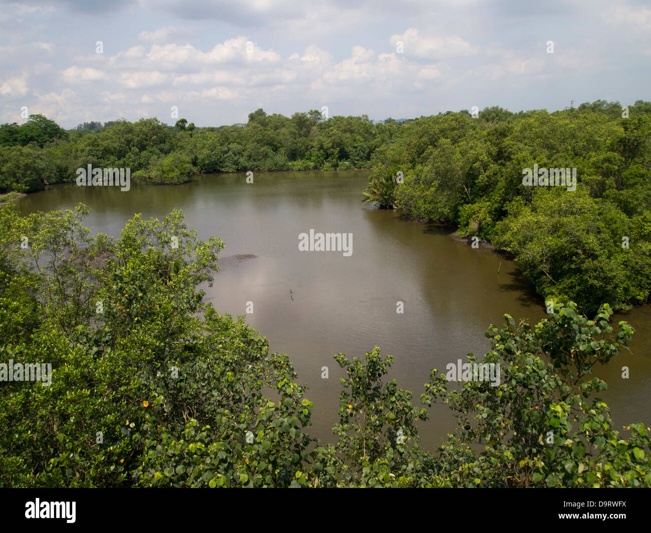 Sungei Buloh Feuchtgebiete Naturschutzgebiet, Singapur, Asien Stockfoto