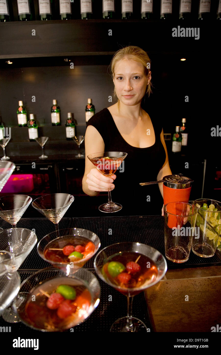 Es ist Partyzeit bei einer Tanqueray After Hours Veranstaltung im trendigen Front Hotel im Stadtteil Nyhavn in Kopenhagen, Dänemark. Stockfoto