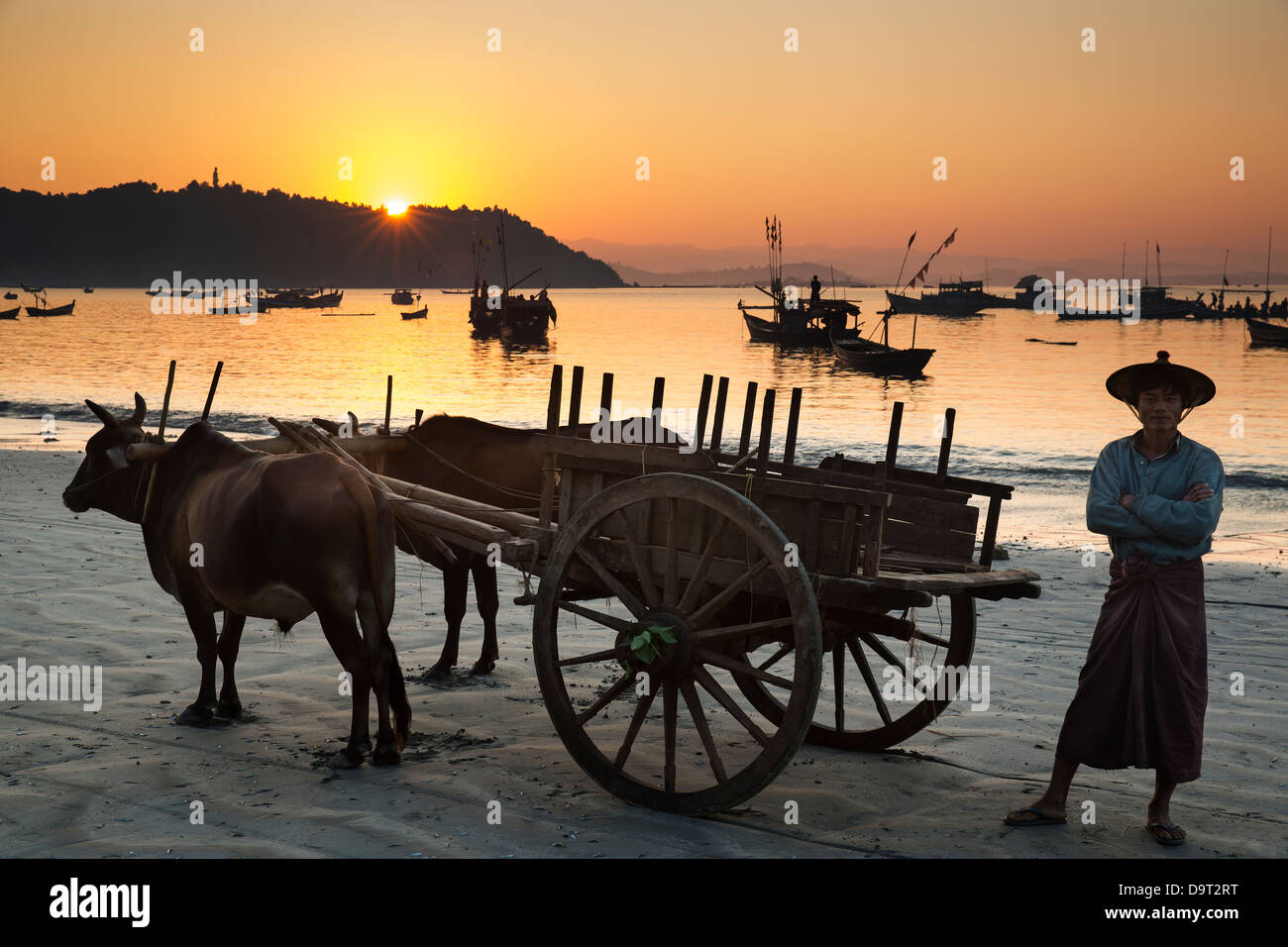 ein getrieben Ochsenkarren warten auf die Fischerboote, die ihren Fang Anlanden am Gyeiktaw im Morgengrauen Ngapali, Rakhine, Myanmar (Burma) Stockfoto