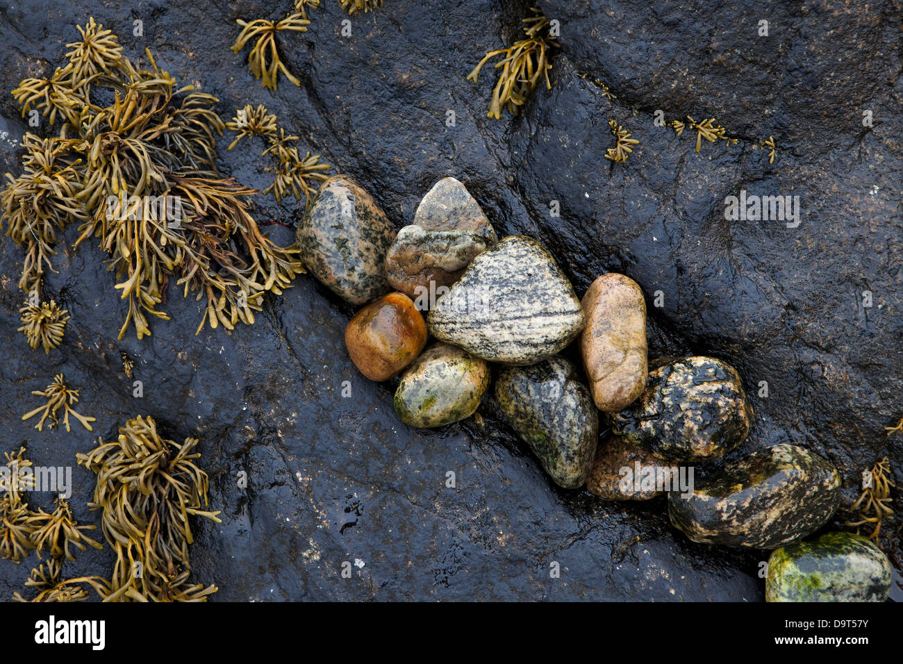 Details am Strand von Lochinver, Sutherland, Schottland, UK Stockfoto