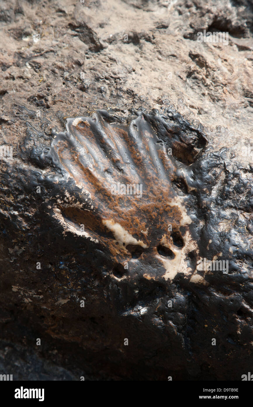 Hand print in Stein am Padmasambhava (Guru Rinpoche) Höhle ist Stockfoto
