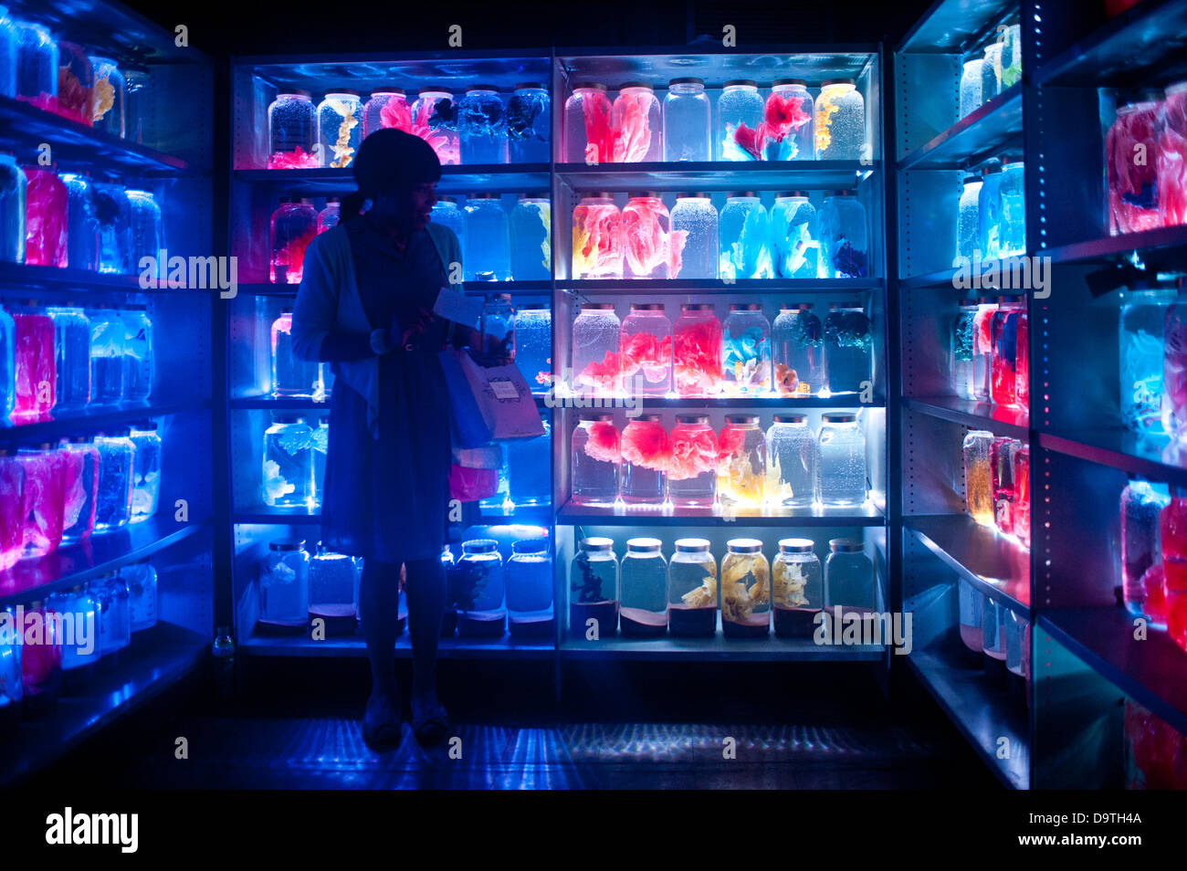 London, UK - 26. Juni 2013: Theatre-Rites - "Bank drauf" ist eine interaktive Show für Kinder promenade, wo ist das Publikum eingeladen, eine Bank-Geheimnisse zu entdecken. Geleitet von Schauspieler, Puppenspieler und einige unerwarteten Zeichen, begegnen sie einem unwiderstehlichen Realm von Märchen und Folklore inspiriert. Aber einmal im Inneren werden sie bald feststellen, dass etwas nicht in Ordnung in diesem Königreich des Geldes ist.  Zu den Darstellern gehören: Matthew Blake, Marsha Henry, Mohsen Nouri, Simon Palmer, Danny Schlesinger und Carol Walton. Bildnachweis: Piero Cruciatti/Alamy Live-Nachrichten Stockfoto