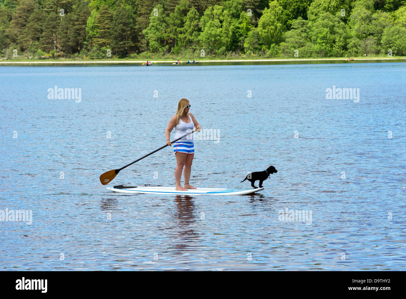 Eine Frau Paddling auf Loch Insh mit ihrem Hund. Stockfoto