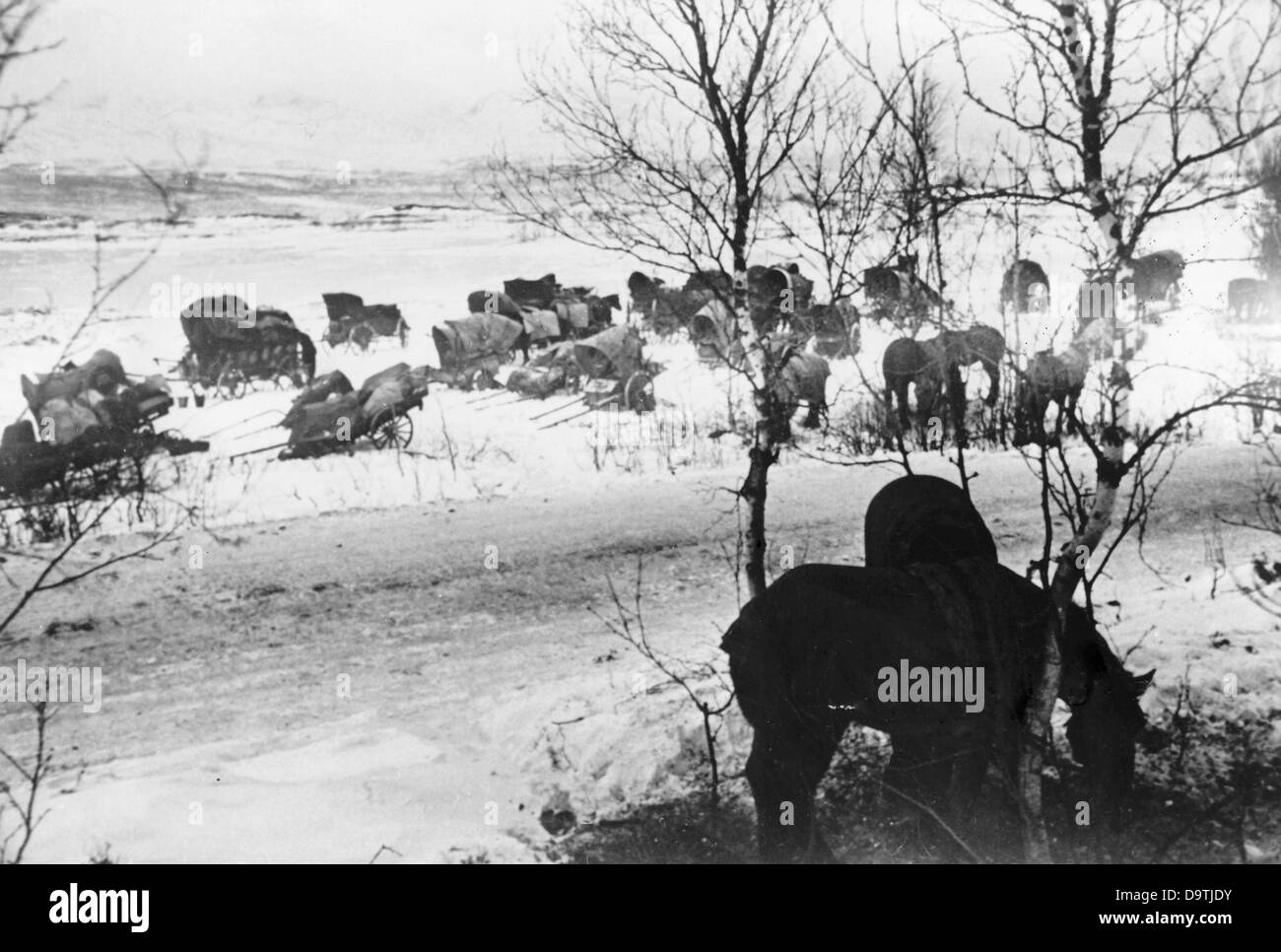 Die Nazi-Propaganda! Auf der Rückseite des Bildes steht: "Bivouac im Polarwintern. Infanterie-Männer ziehen in ein Bivouac neben der Straße, während sie von der Front Lapplands nach Nordnorwegen marschieren. Männer und Tiere entspannen sich und erholen sich wieder." Bild von der Ostfront, 27. Dezember 1944. Der Angriff des Deutschen Reiches auf die Sowjetunion wurde im Juli 1940 beschlossen und seit Dezember 1940 als "Operation Barbarossa" vorbereitet. Am 22. Juni 1941 begann die Invasion der deutschen Wehrmacht. Fotoarchiv für Zeitgeschichte Stockfoto