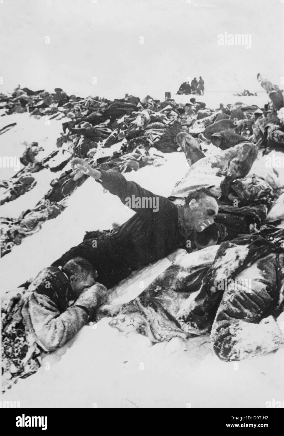 Die Nazi-Propaganda! Auf der Rückseite des Bildes steht: "So sieht der Erfolg des Nachtangriffs der Sowjets auf unsere Posten aus. Liebe Sowjets." Bild von der Ostfront, 14. Februar 1942. Der Angriff des Deutschen Reiches auf die Sowjetunion wurde im Juli 1940 beschlossen und seit Dezember 1940 als "Operation Barbarossa" vorbereitet. Am 22. Juni 1941 begann die Invasion der Wehrmacht. Fotoarchiv für Zeitgeschichte Stockfoto