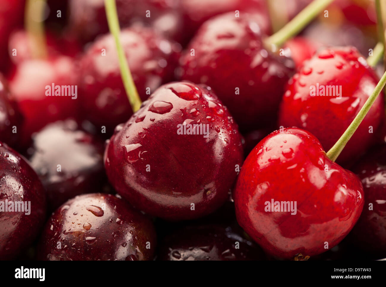 Makro-Süßkirschen mit Wasser Tropfen Hintergrund Stockfoto