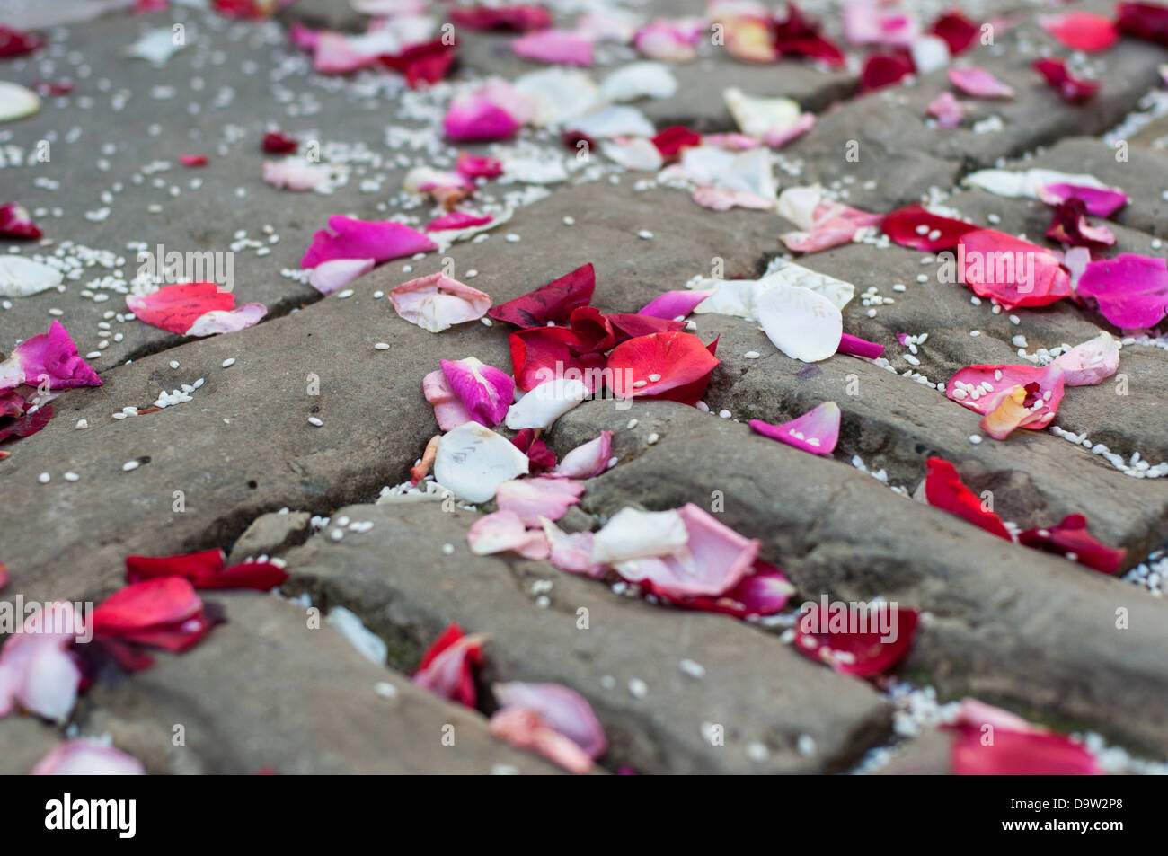 Hochzeitsblumen und Reis auf dem Boden. Stockfoto