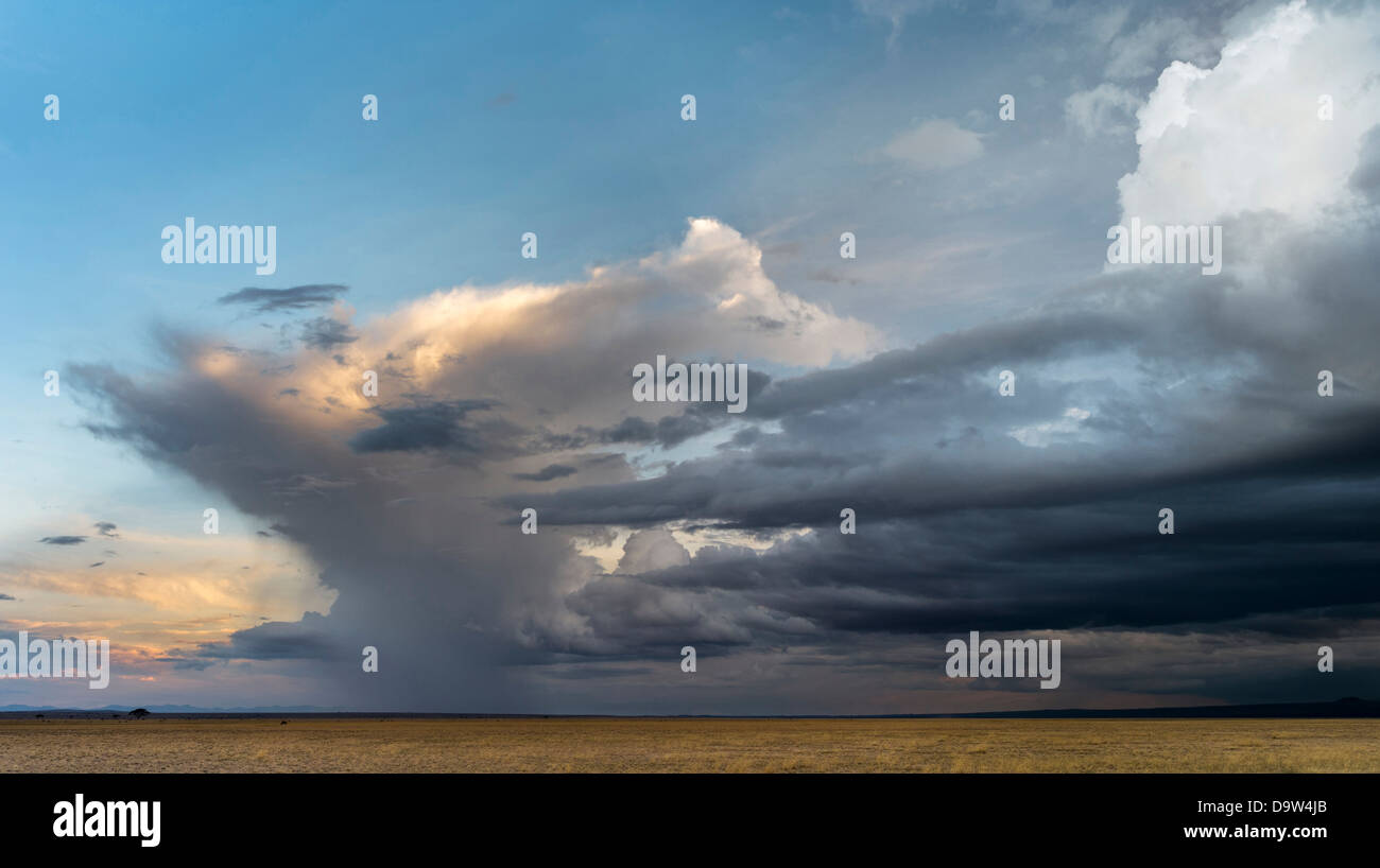 Sturm über den nahe gelegenen Hängen des Kilimanjaro. Amboseli Nationalpark, Kenia, Afrika. Stockfoto