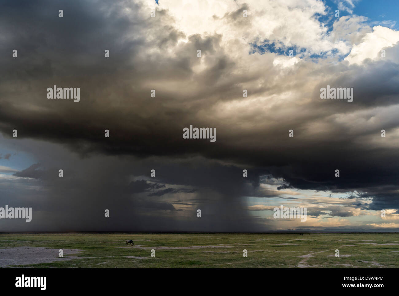 Sturm über den nahe gelegenen Hängen des Kilimanjaro. Amboseli Nationalpark, Kenia, Afrika. Stockfoto