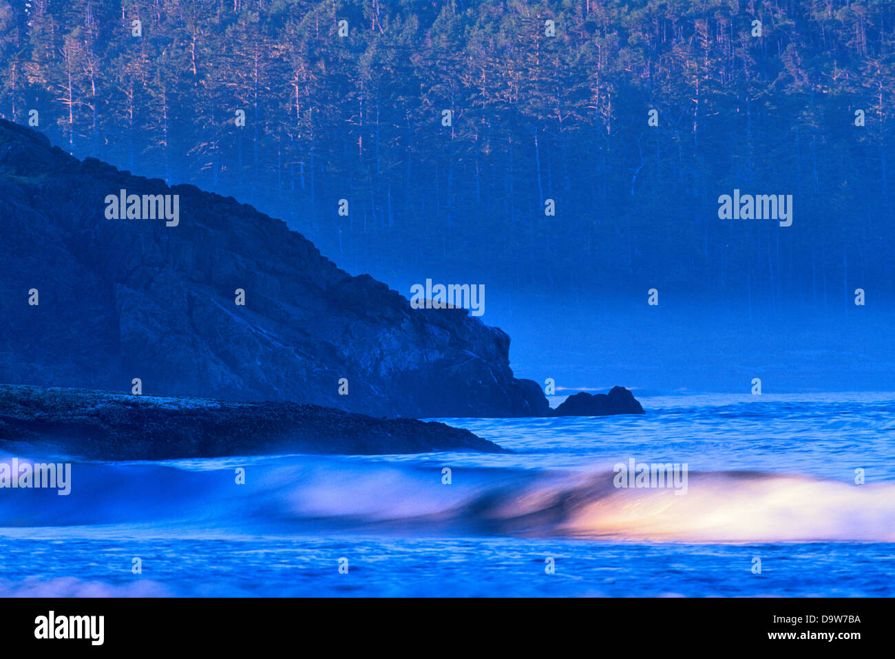 Kanada, British Columbia, Vancouver Island, Pacific Rim National Park, Landschaft mit Steilküste und Wald Stockfoto