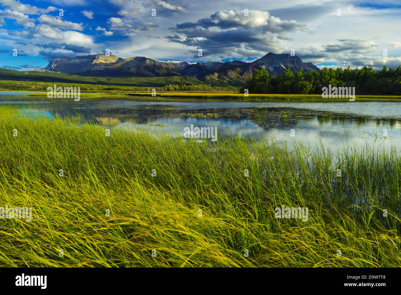 Kanada, Alberta, Waterton National Park, Blick auf Maskinonge See und Sofa-Berg Stockfoto