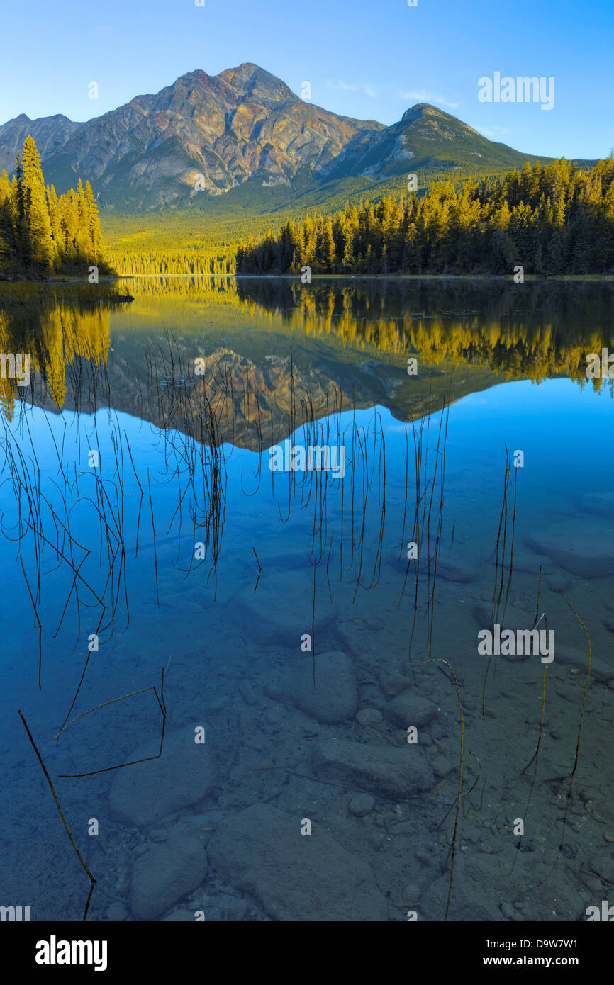 View of Pyramid Mountain, Jesper Nationalpark, Alberta, Kanada reflektiert im Pyramid Lake Stockfoto