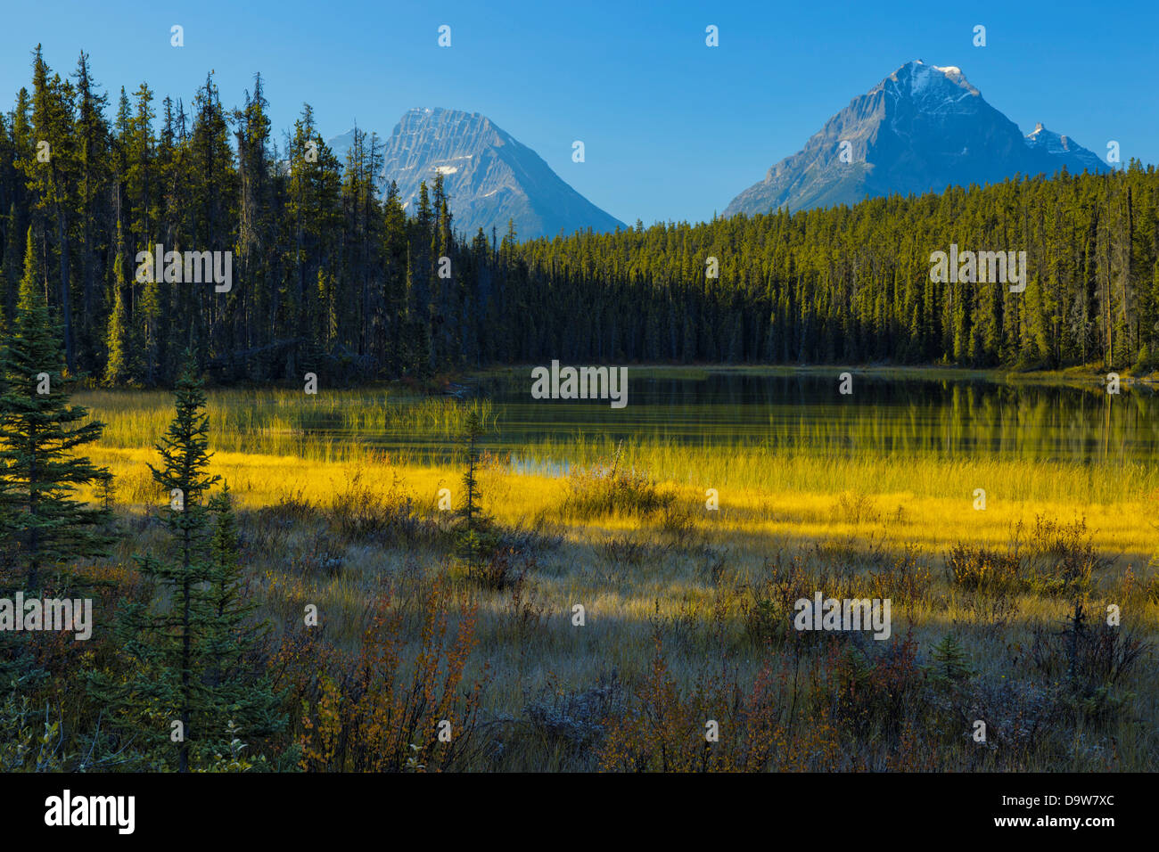 Kanada, Alberta, Jasper-Nationalpark, Mount Christie und Mount Fryatt Stockfoto