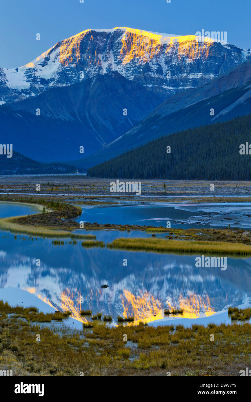 Kanada, Alberta, Jasper-Nationalpark, Mount Andromeda und Schönheit Creek Stockfoto