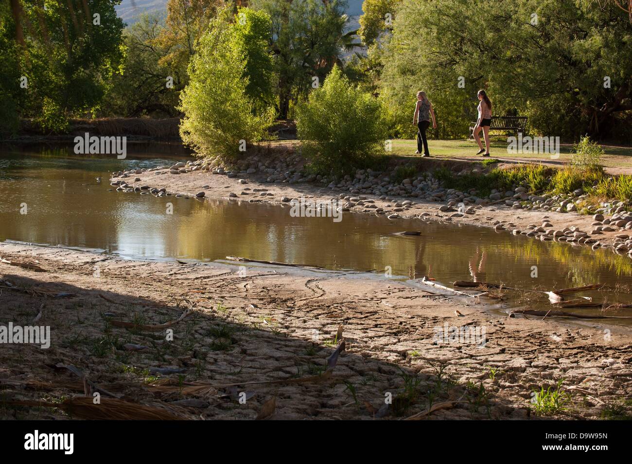 26. Juni 2013 - Tucson, Arizona, Vereinigte Staaten von Amerika - Jahre der Dürre verursacht Wasserstände an Agua Caliente in Tucson, Arizona, extrem niedrige Niveaus ablegen.  Dem Hauptsee, sowie ein weiterer Überlauf sind eine natürliche Quelle, saisonalen Regenfälle und Schneeschmelze Abfluss aus dem nahe gelegenen Rincon Mountains gespeist.  Das Feuchtgebiet wurde im Rückgang seit der Trockenheit 2003-2004 nach dem Park Booster Board.  Pima County, der Park-Manager hat die Pumpen 55.000 Gallonen Wasser pro Tag in den See, die versuchen, es zu halten vor dem völlig austrocknen, aber heißer, trockener Jahre scheinen die Ba zu gewinnen Stockfoto
