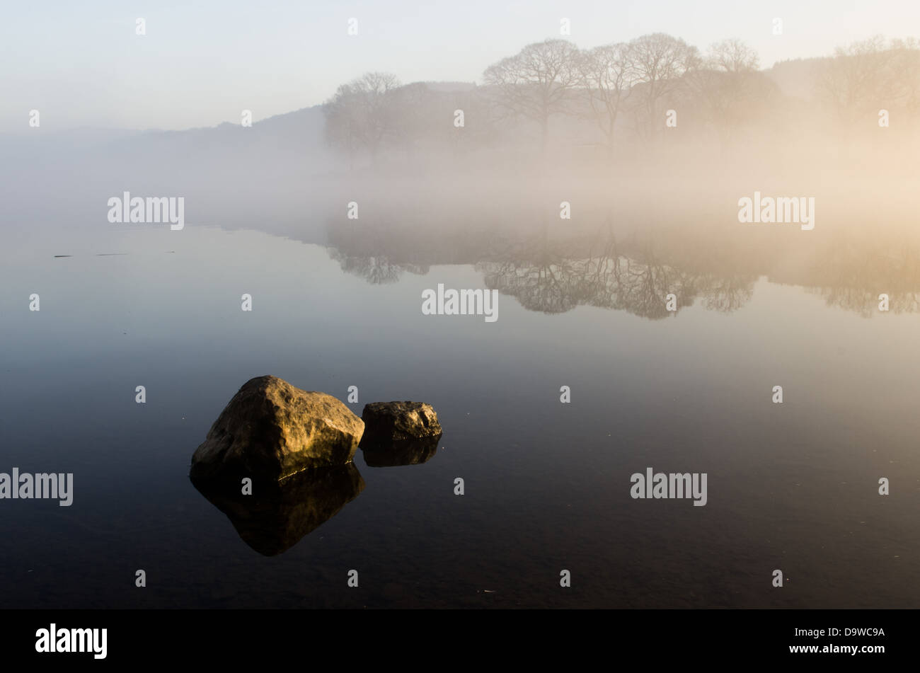 Ein Muschel Morgen auf einem See mit einem Stein in den Vordergrund und fernen Ufer mit Flora und Fauna in Nebel bedeckt. Stockfoto