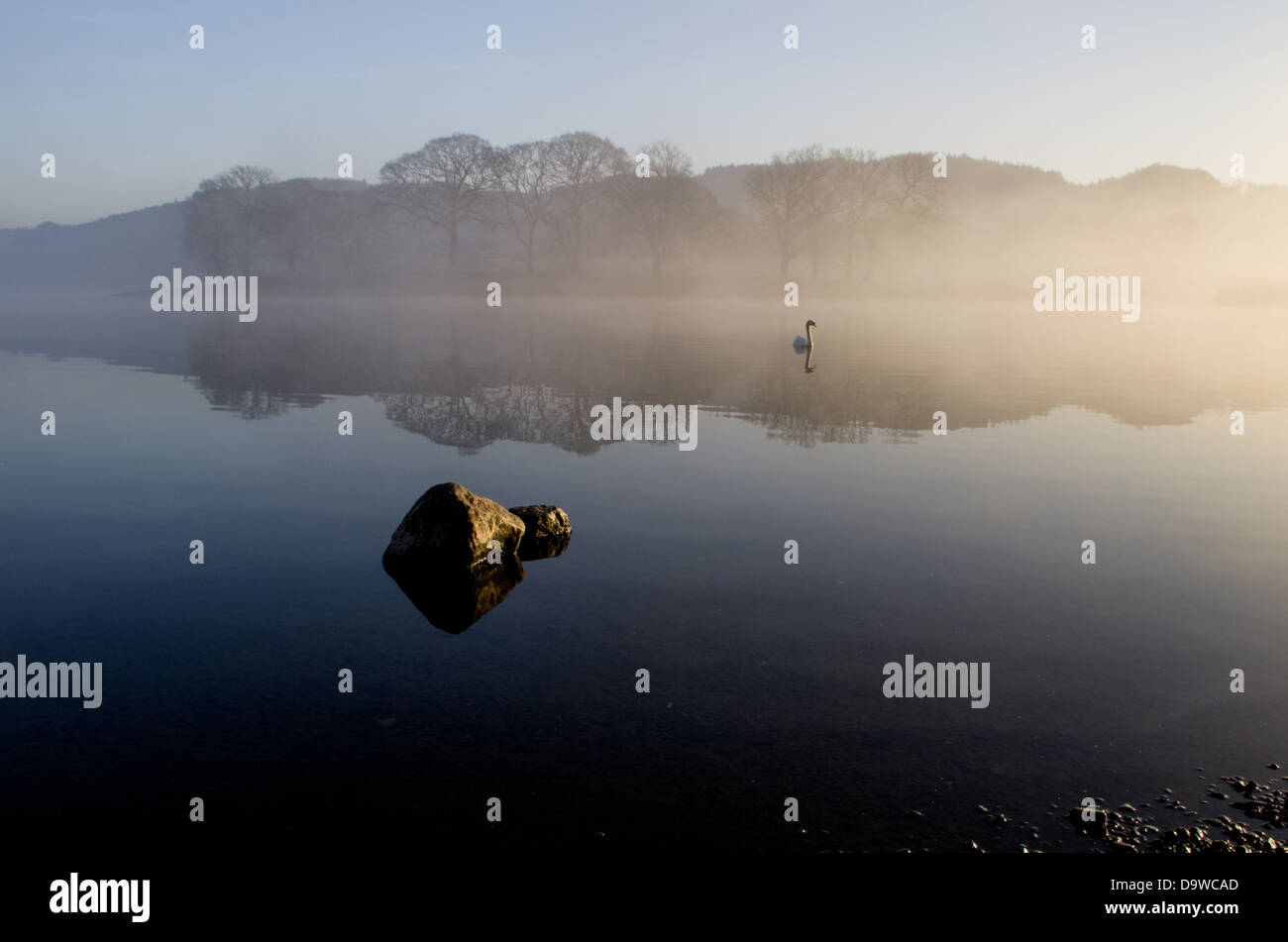 Ein ruhiger Morgen an einem See mit einem fernen Ufer im Nebel bedeckt, ein Felsen im Vordergrund und ein Schwan aus dem Nebel kommen. Stockfoto