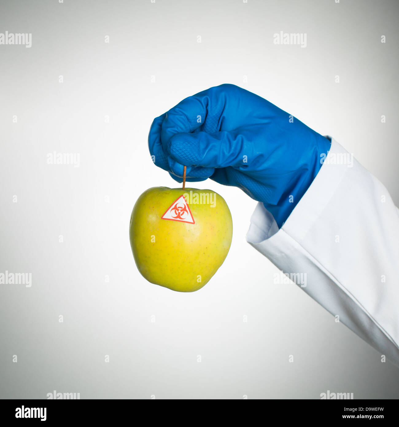 weißen Hintergrund mit einem Bio gefährliche gelbe Reife Apfel statt von einer Hand in eine blaue Gummihandschuh und einen Laborkittel Stockfoto