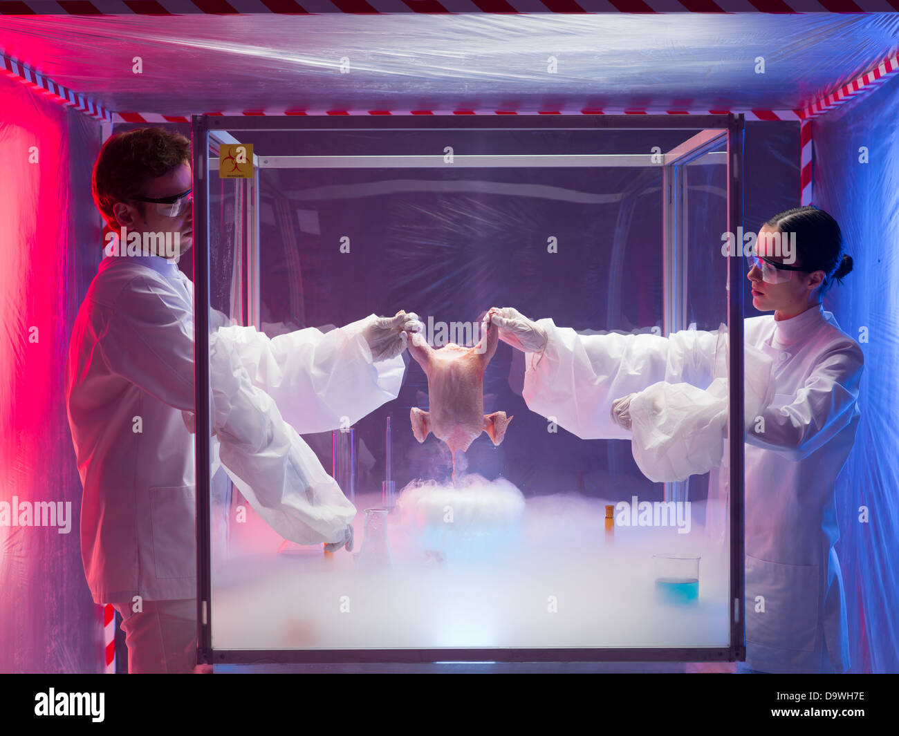 zwei Wissenschaftler, ein Mann und eine Frau, chemische Experimente auf ein rohes Hühnchen in einem Schutz-Gehäuse in einem Containment-Zelt Stockfoto