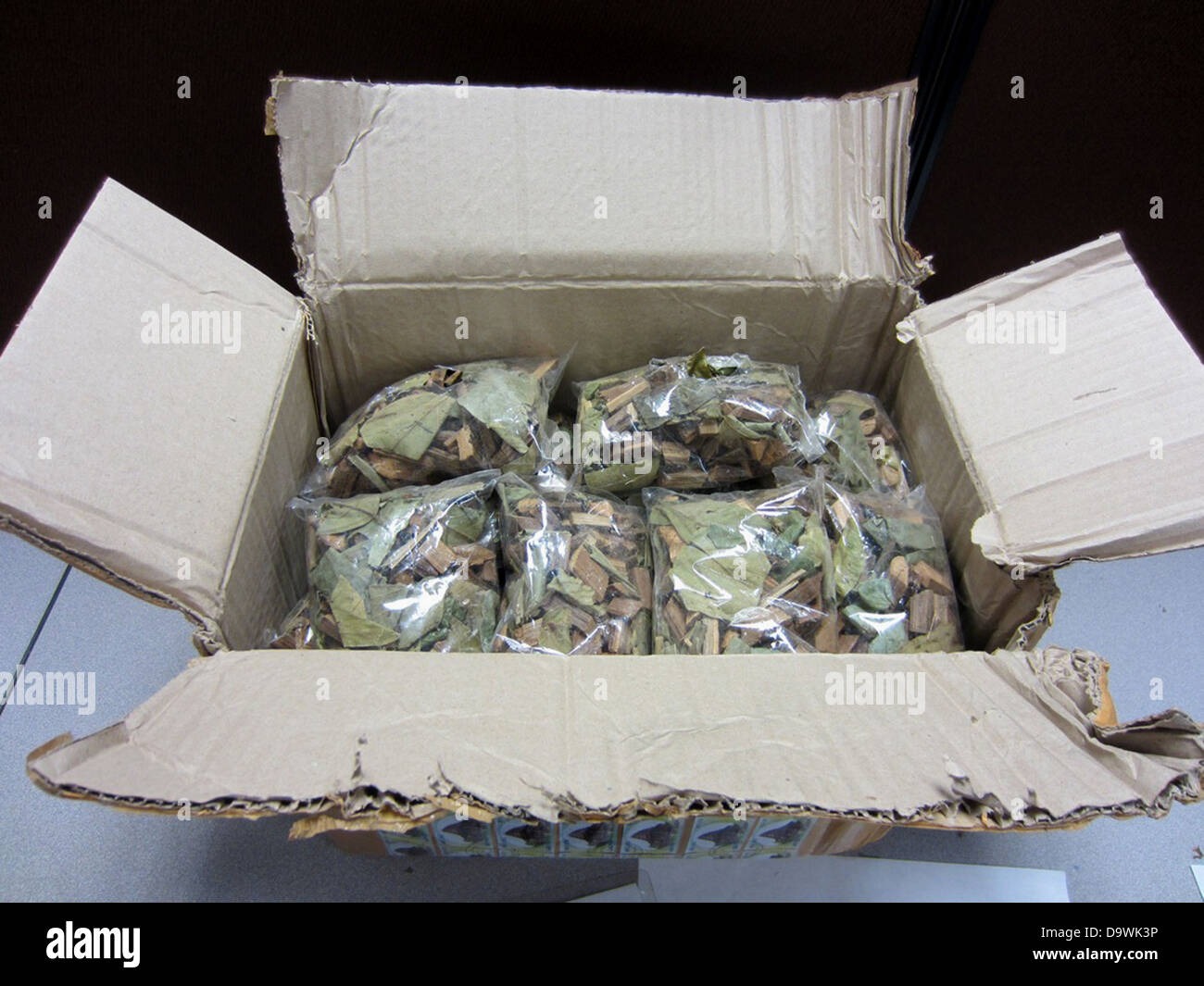 U.S. Customs and Border Protection Eckzahn Schatten '''' erkannten Opium in Chicago Parzellen. Stockfoto