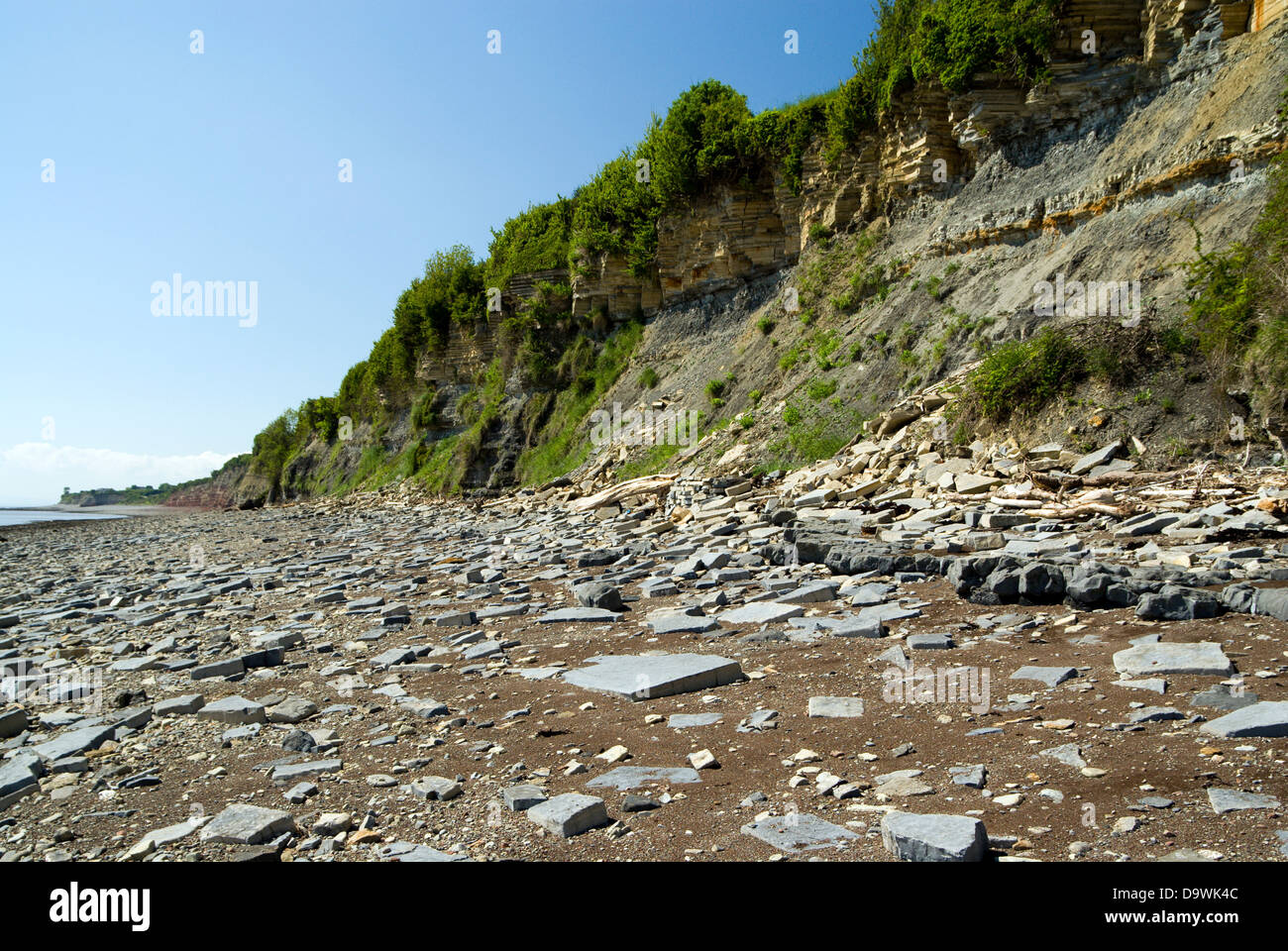 Felsen Schichten Penarth Vale von Glamorgan Süd wales uk Stockfoto