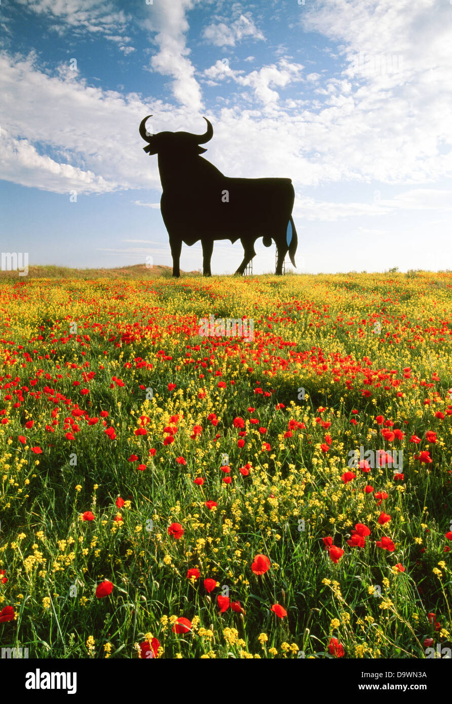 Riesige Ausschnitt eines spanischen Stiers auf einem Hügel in Andalusien, Spanien Stockfoto