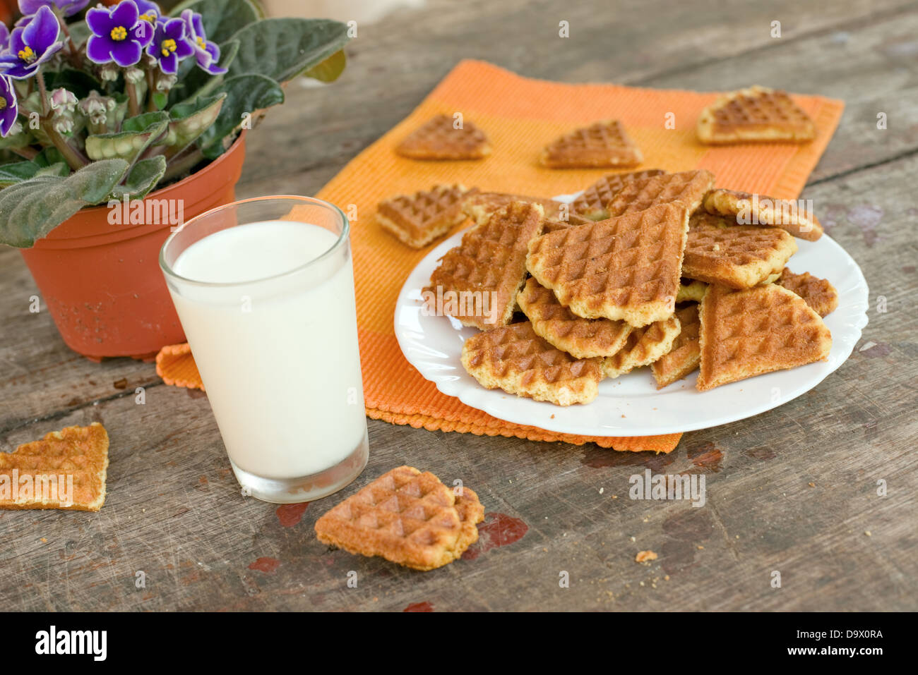 Glas Milch und hausgemachte Kekse auf einem Teller. Süße Speisen. Stockfoto