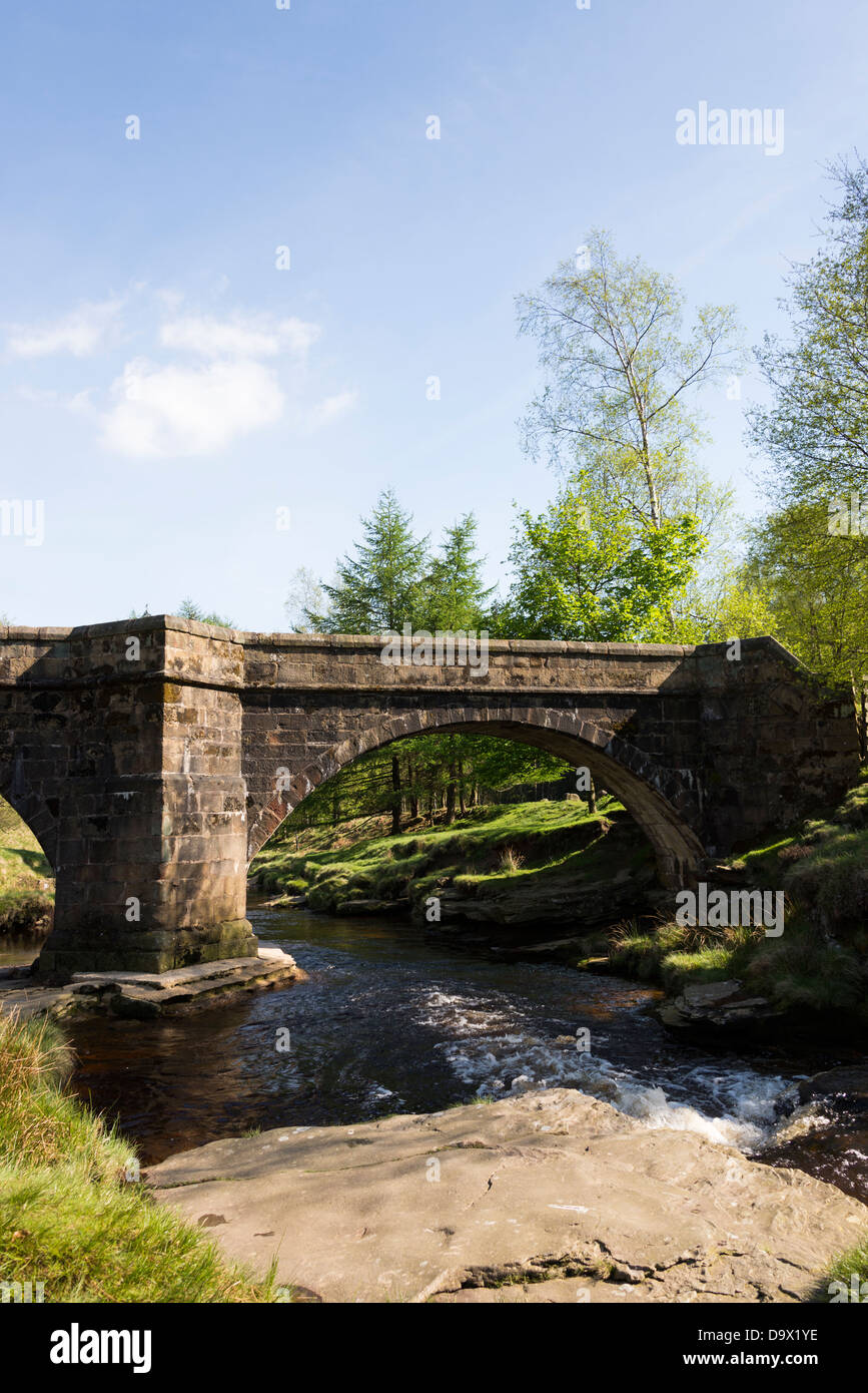 17. Jahrhundert Lastesel Brücke verlegt, rutschigen Steinen, Derwent Valley, Peak District Nationalpark Derbyshire, England. Stockfoto