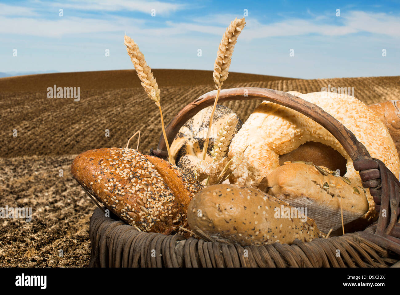 Brot und Weizen Getreide. Gepflügtes land Stockfoto