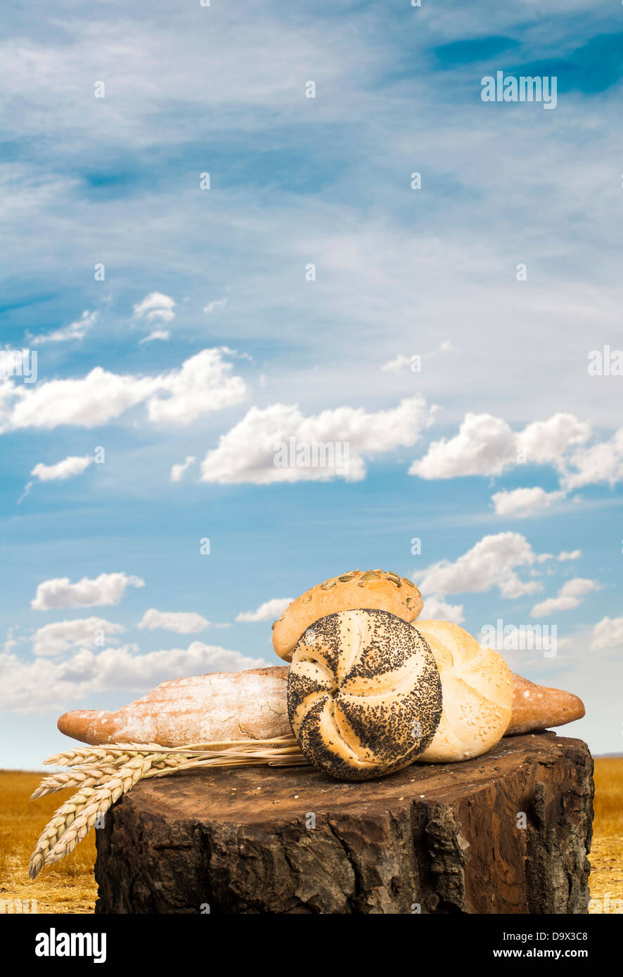 Brot und Weizen Getreide. Gepflügtes Land. Stockfoto
