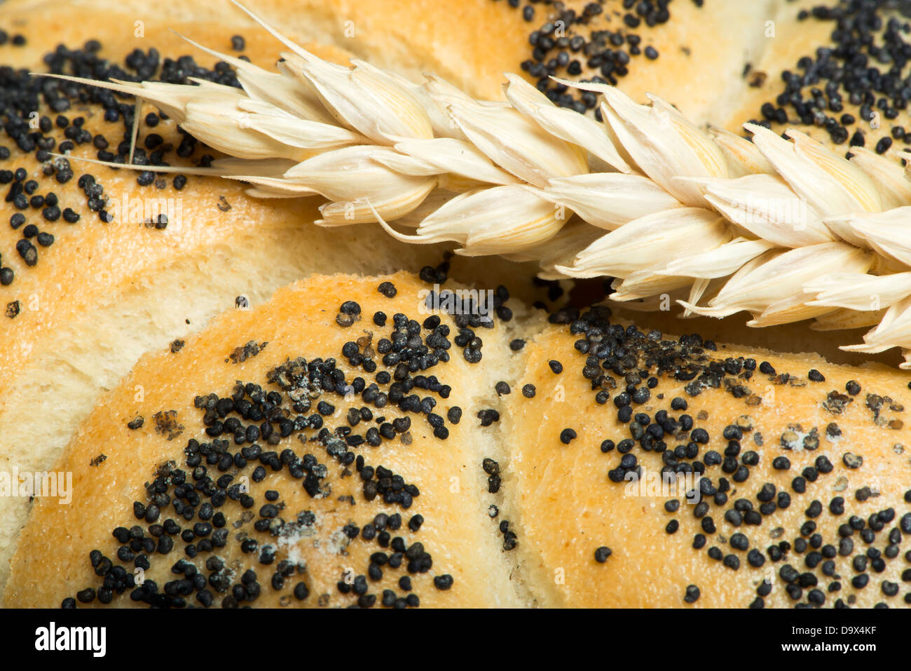 Brot und Weizen Getreide hautnah. Studuo Schuss Stockfoto