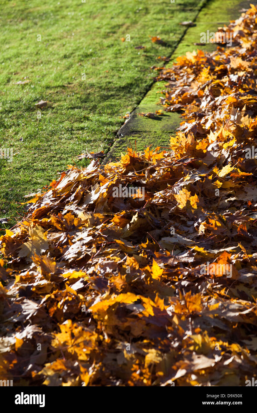 Gelbe Blätter und Rasen, Blätter im Herbst für Hintergrund Stockfoto