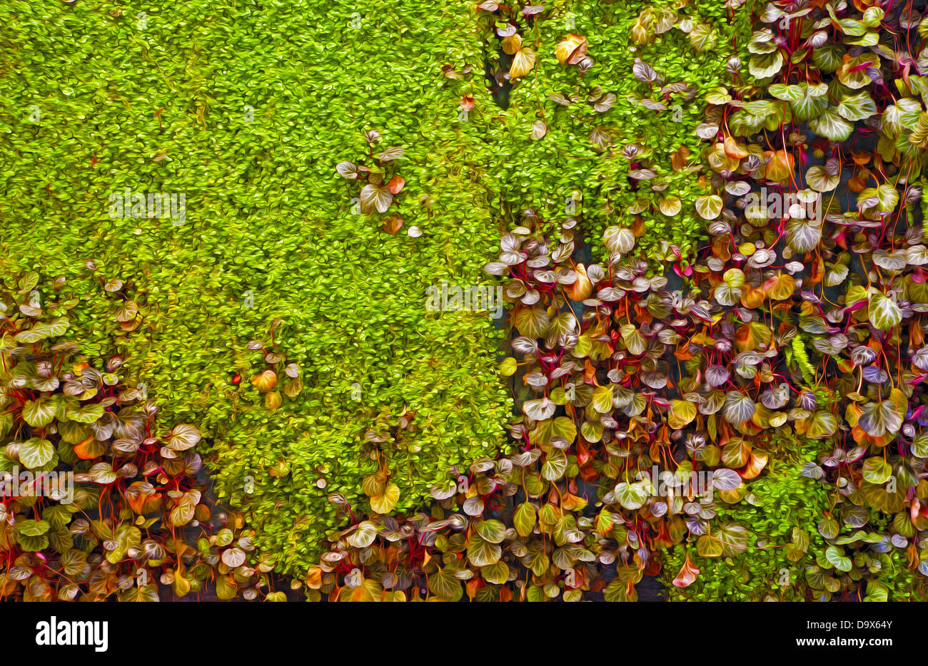 digitale Farbe der grünen Wand - Garten Stockfoto