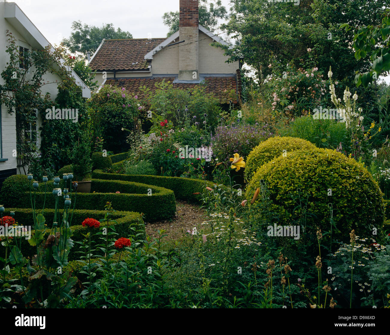Englischer Cottage-Garten mit beschnittenen golden Liguster und Kies Wege  zwischen niedrigen abgeschnittene Box Absicherung Stockfotografie - Alamy