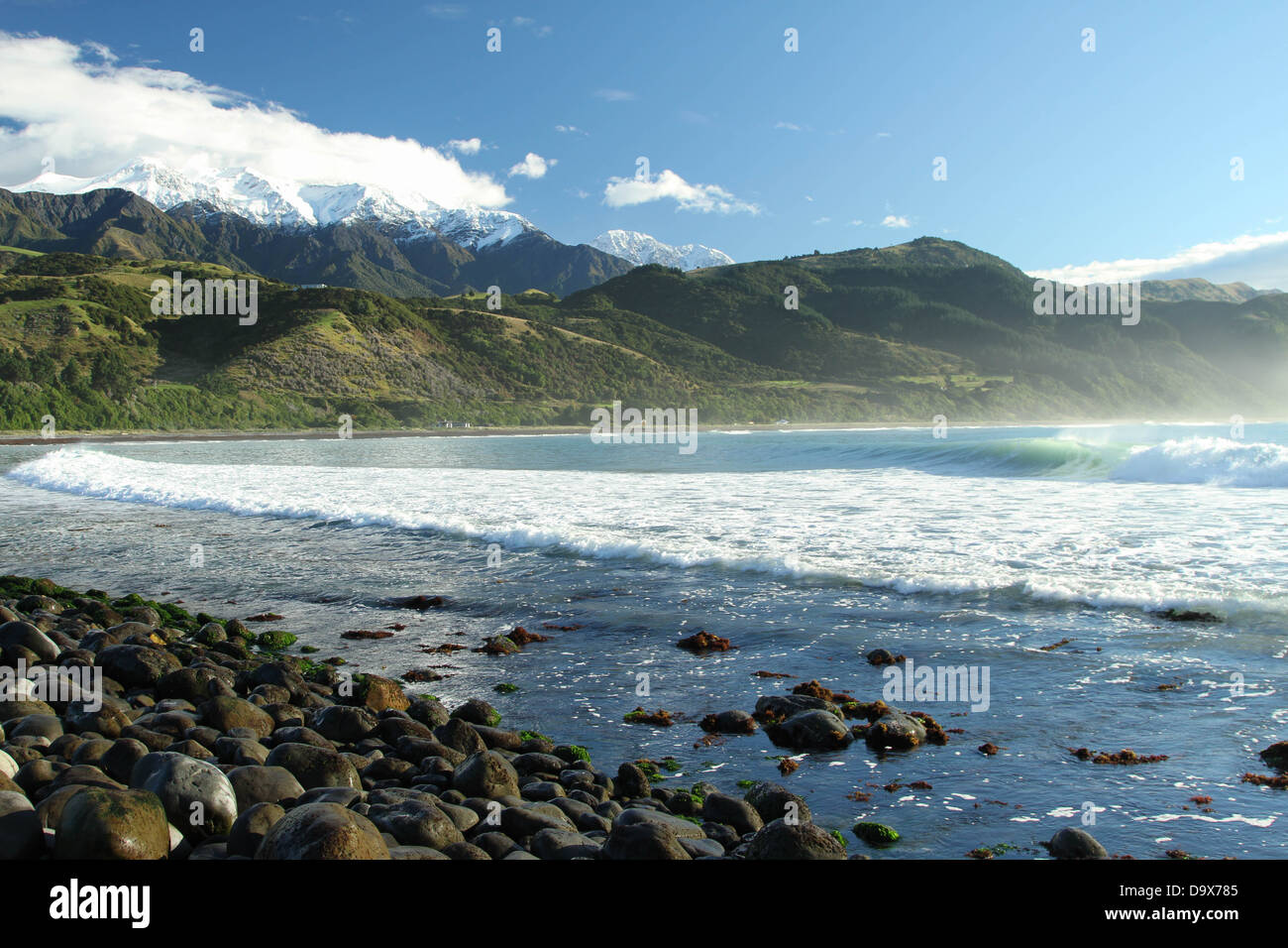 Küste in Kaikoura, Neuseeland Stockfoto