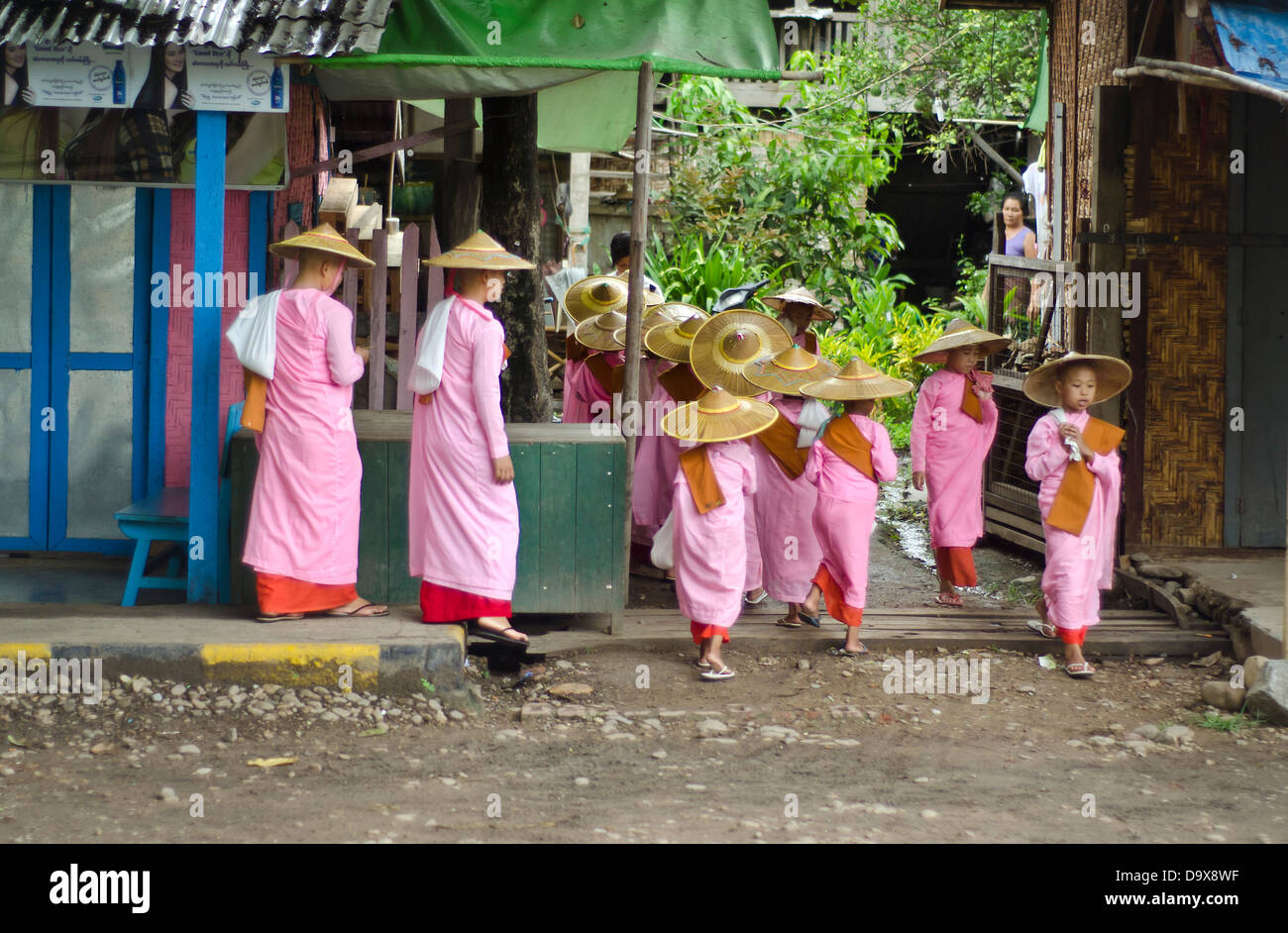 Buddhistische Nonnen betteln, Hsipaw, Birma Stockfoto